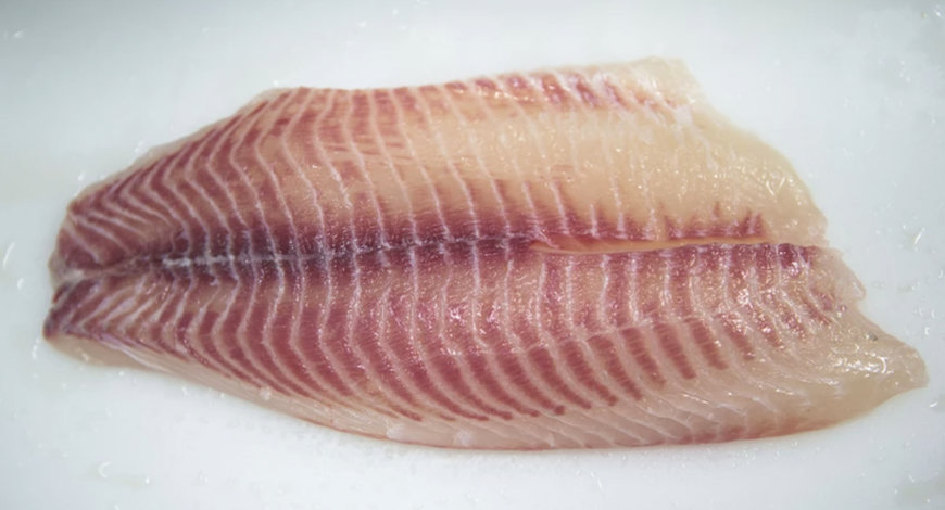 MAREL: SENSORX INDIVIDUALLY INSPECTS 100% OF FILLETS AND INCREASES FOOD SAFETY FOR TILAPIA PROCESSORS